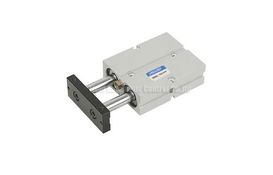 TN Dubbele Schacht Pneumatische Gasfles 10mm - 32mm voor Pneumatisch Automatiseringssysteem
